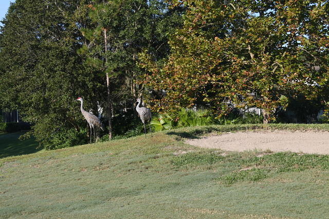 P4P GolfTourn 10-14-13 TH063