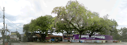 aaa