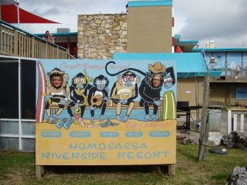 Homasassa - Monkey Island 12-07-2014 (46)