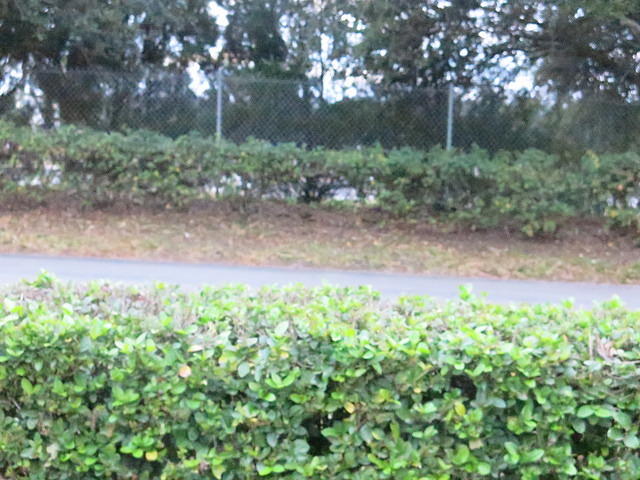 PortOrange 12-27-14 TH004