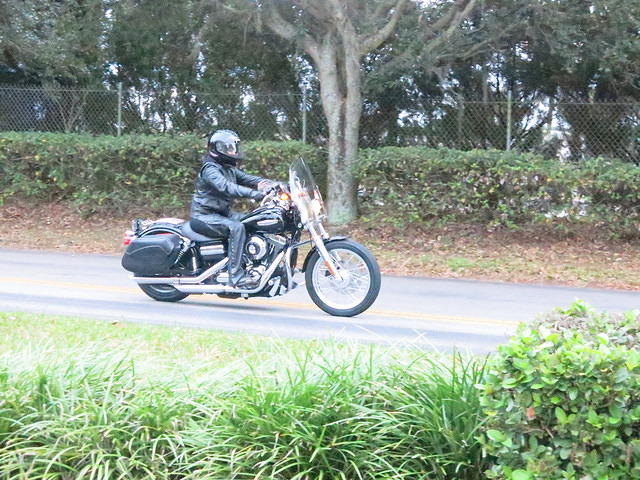 PortOrange 12-27-14 TH005