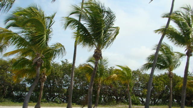 Ride 4-16-15 Key West es (90)