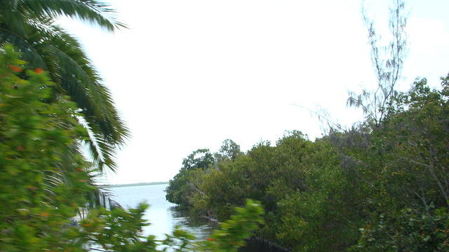Ride 4-16-15 Key West es (98)