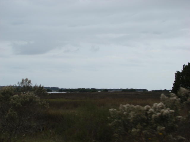 Cedar Key 11-21-2015 es (23)