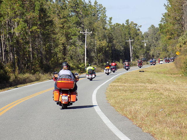 Edi - Cedar Key 2017-11-17 (54)