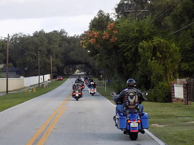 Edi - Seagrass Homosassa 10-28-2017 (18)