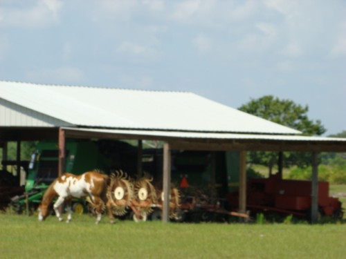 aba