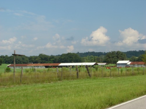 aas