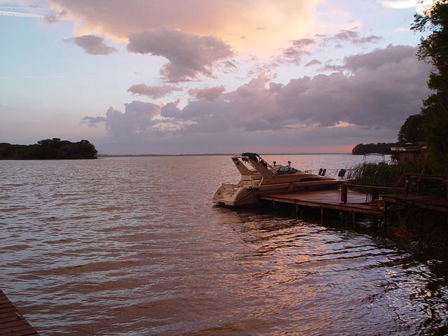 aav