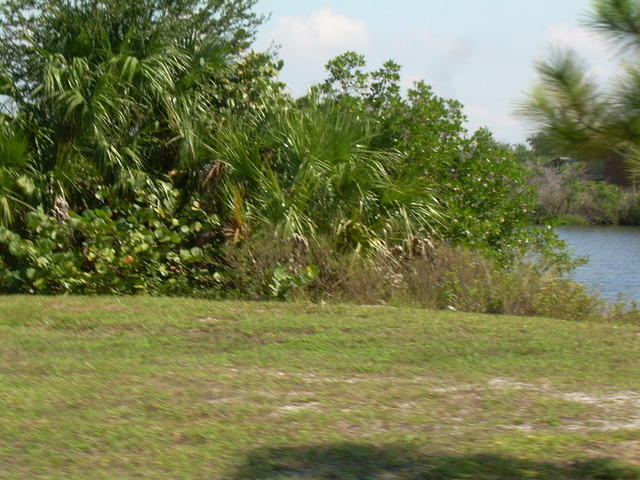 agc