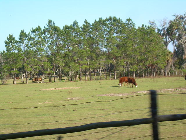 aag
