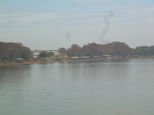 aap
