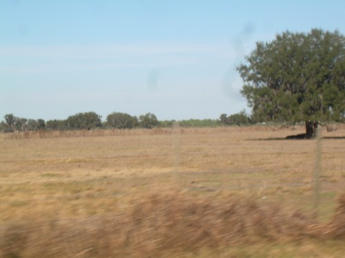 aar