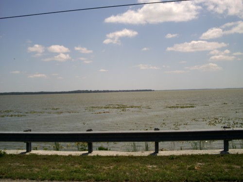 aba