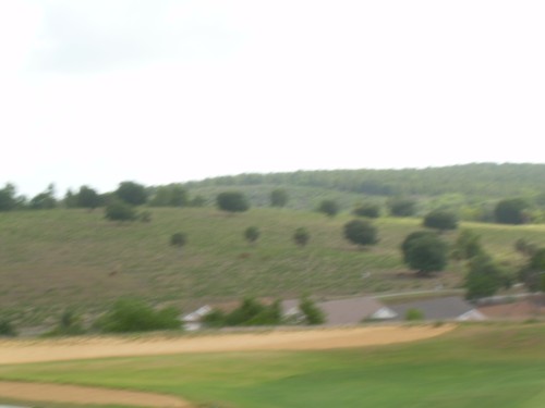 aas