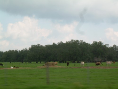 aas