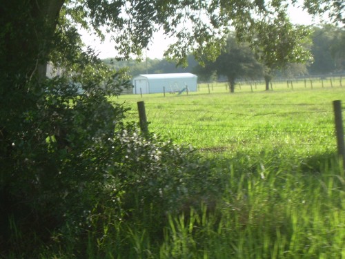 aaa