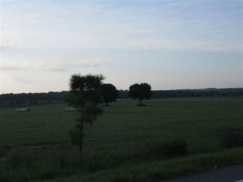 aba