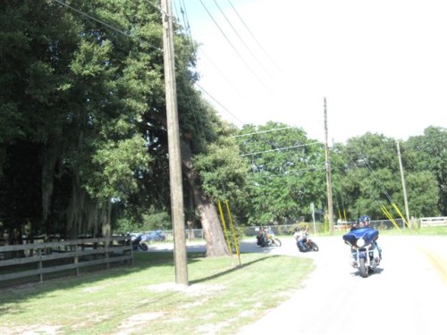 aau