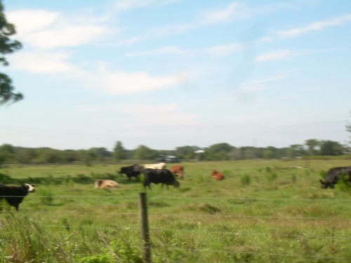aan
