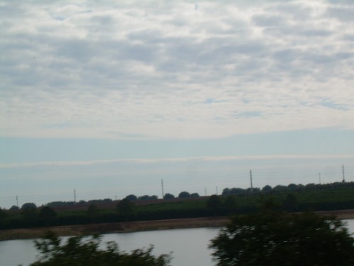 aap