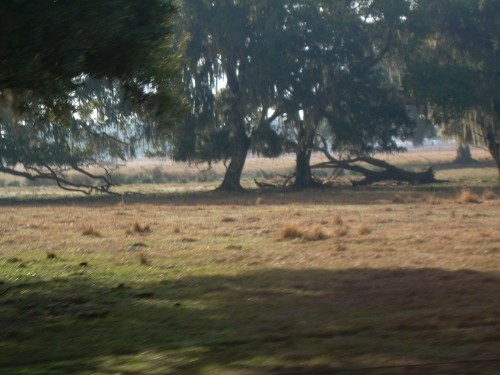 aan