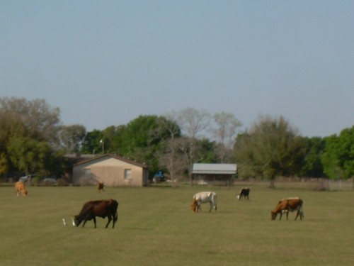 aas