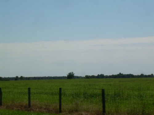 aan