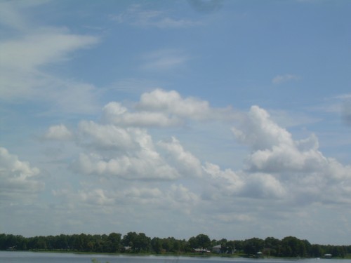 aav