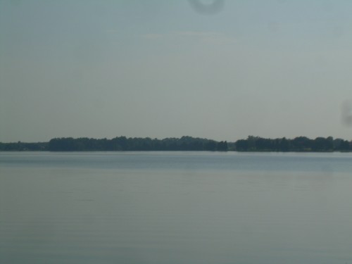 aae