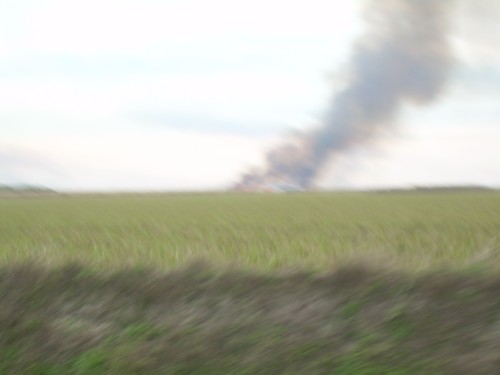aan