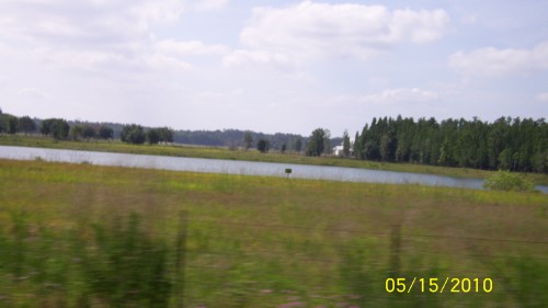 aal