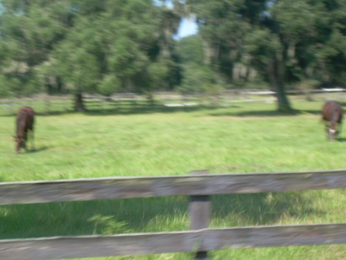 aan