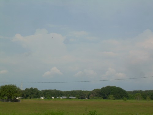 aal