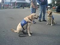 Paws for Patriots Events 2010