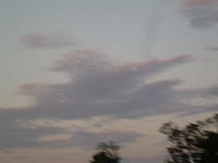 aag