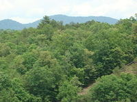 Helen Ga Day Ride 6-6-14 (143)