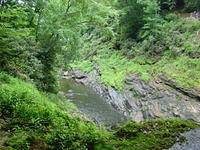 Helen Ga Day Ride 6-7-14 (119)