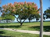 The Getaway Gandy Blvd St Pete 11-02-2014 (36)