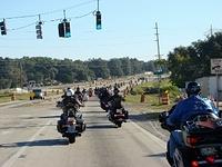 Upper Deck 10-26-2014 (20)