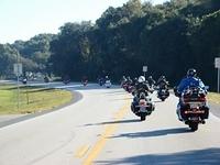 Upper Deck 10-26-2014 (21)
