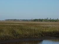 Upper Deck 10-26-2014 (44)