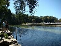 Upper Deck 10-26-2014 (58)