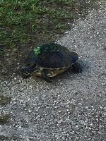 IMG 4039