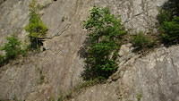 Helen - Tail of the Dragon 06-05-2015 (50)