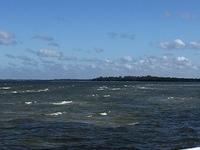 Ride 211-29-15 SeaHag-StPeteBch zz (26)