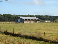 Western Steer Starke Dec 22 2013 (21)