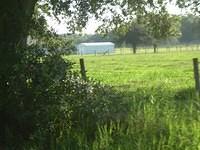 aaa