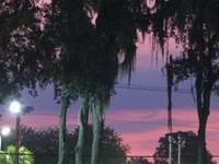 aaa