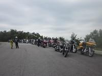 abp